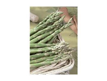 ※画像はイメージです。