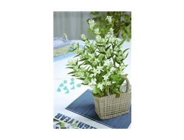 ※画像はイメージです。