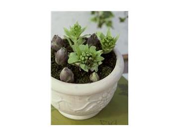 ※画像はイメージです。