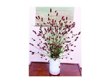 ※画像はイメージです。