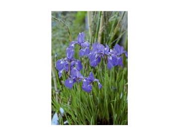 ※画像はイメージです。