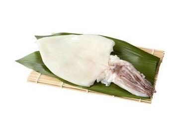 盛皿：幅約24ｃｍ