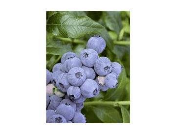 ※画像はイメージです。