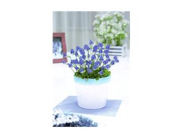 ※鉢は付いていません。※画像はイメージです。