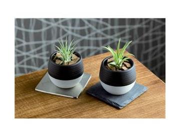 ※画像はイメージです。