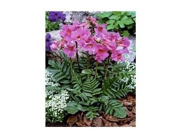 ※画像はイメージです。