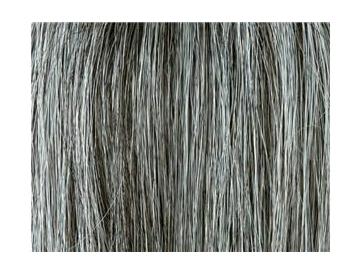 白髪６０％※画像はイメージです。