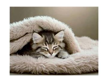 ※画像はイメージです。