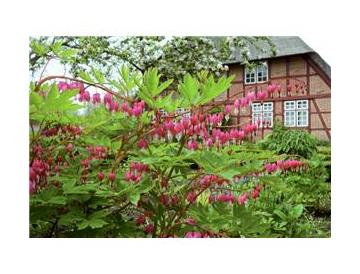 ※画像はイメージです。