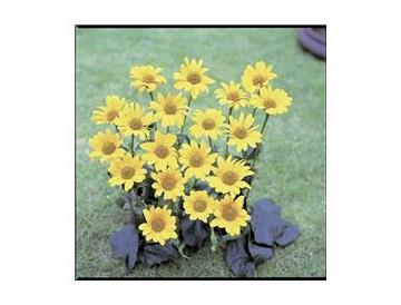 ※画像はイメージです。