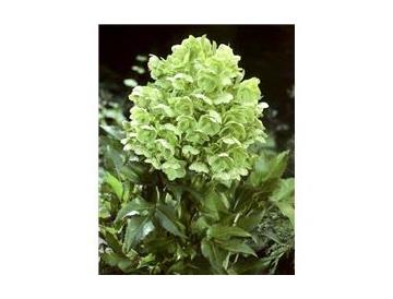 ※画像はイメージです。