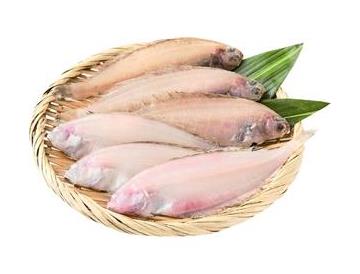 ざる：直径約２１ｃｍ