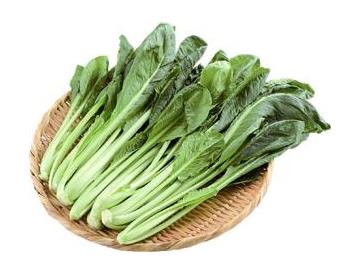 ざる：直径約３０ｃｍ