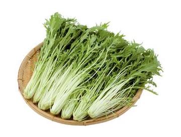 ざる：直径約３６ｃｍ