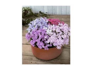 ※画像はイメージです。