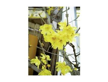 ※画像はイメージです。