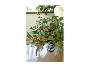 ※画像はイメージです。