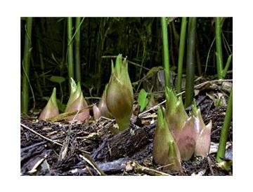 ※画像はイメージです。