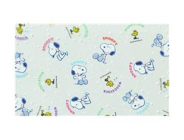 スヌーピー※画像はイメージです。