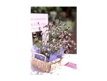 ※画像はイメージです。