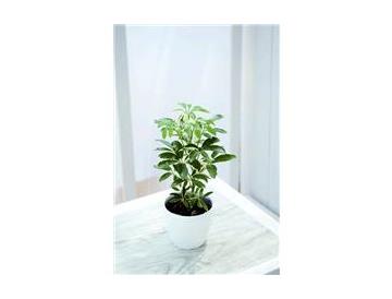 ※画像はイメージです。