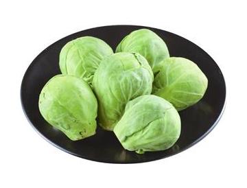 皿：直径約13ｃｍ