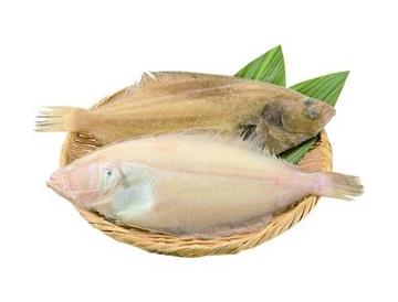 ざる：直径約２４ｃｍ