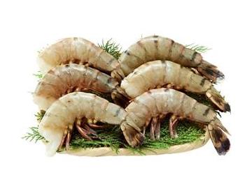 ざる：長さ約17.5cm