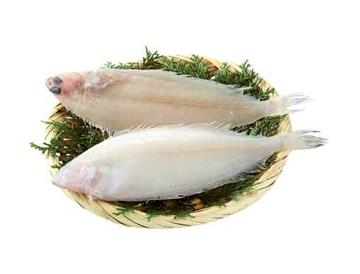 ざる：直径約18cm