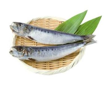 ざる：直径約18ｃｍ