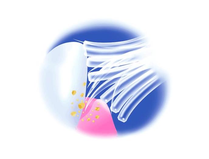 ｅ色おまかせダブルハブラシ　マイルド毛　４列コンパクト