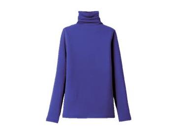 ロイヤルブルー