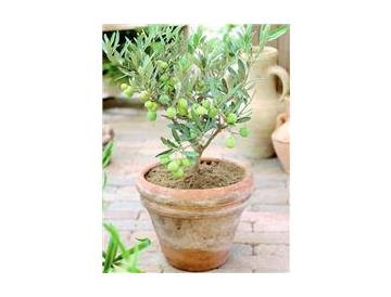 ※画像はイメージです。