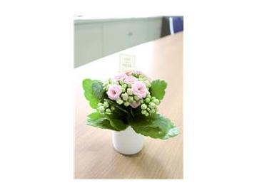 ※画像はイメージです。