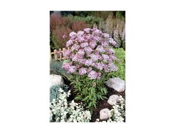 ※画像はイメージです。