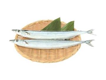 ざる：直径約24ｃｍ