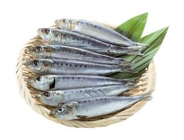 ざる：直径約18ｃｍ