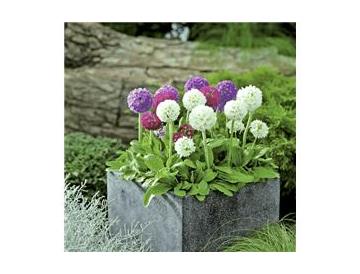 ※画像はイメージです。