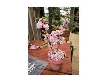 ※画像はイメージです。