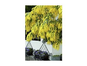 ※画像はイメージです。