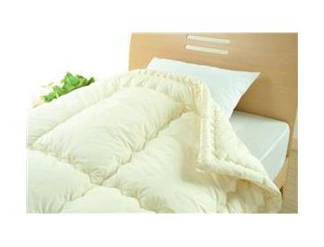 ※画像はイメージです。