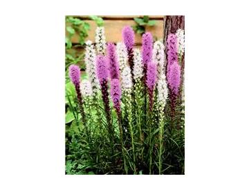 ※画像はイメージです。