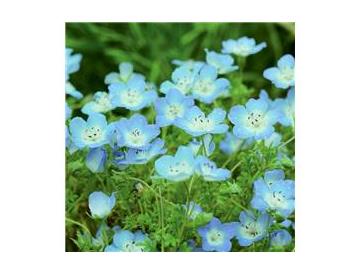 ※画像はイメージです。