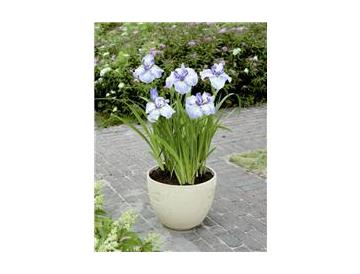 ※画像はイメージです。