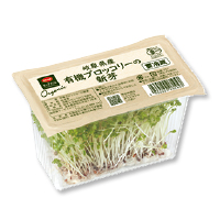 スプラウト
１パック