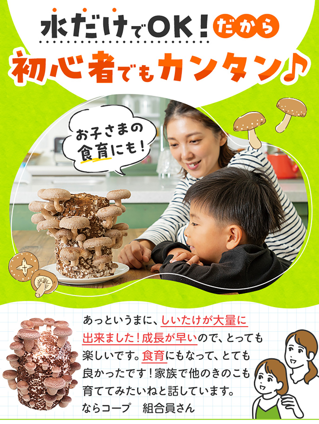 イメージ画像