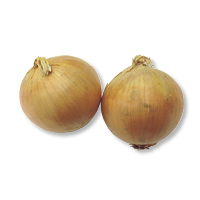 たまねぎ
２玉（Ｌ）または３玉（Ｍ）