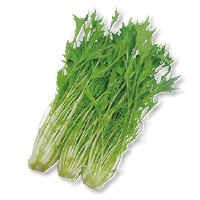 水菜
１００ｇ