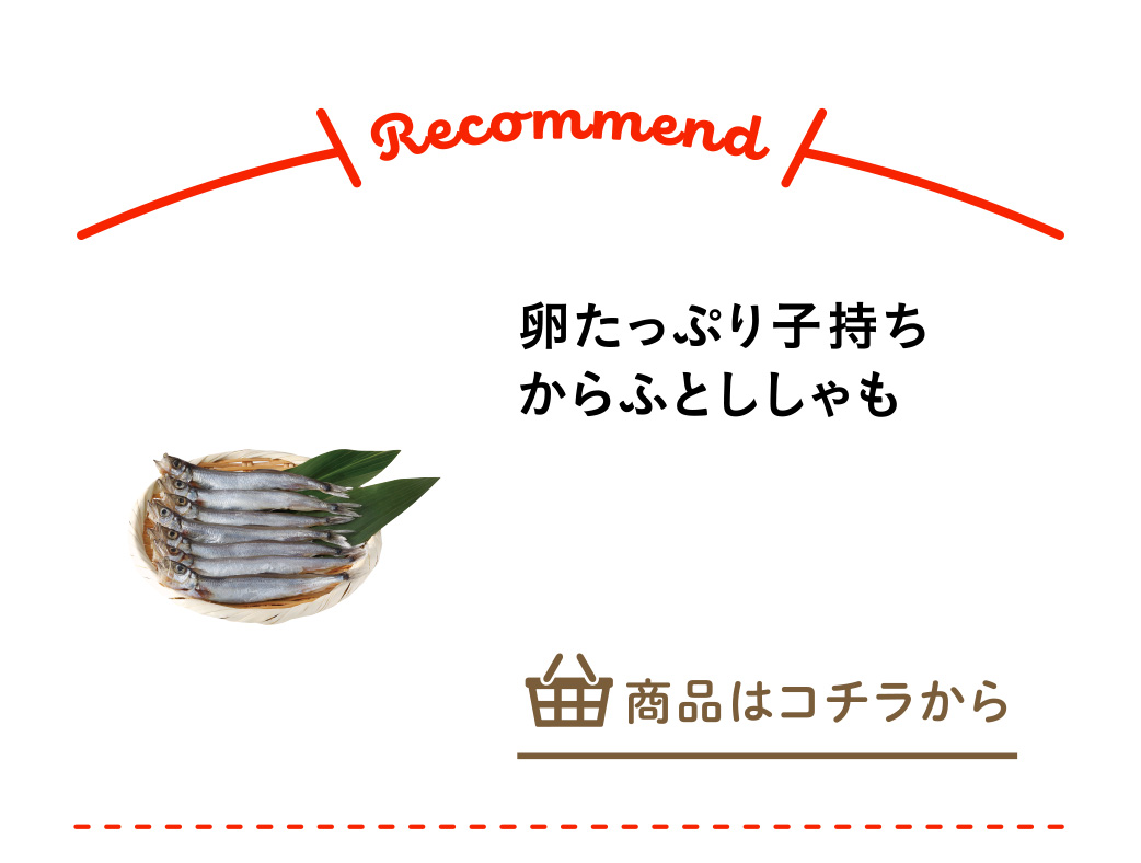 卵たっぷり子持ちからふとししゃも