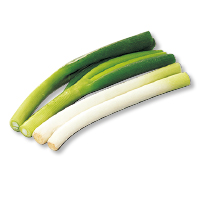 白ねぎ
１８０ｇ（カット）